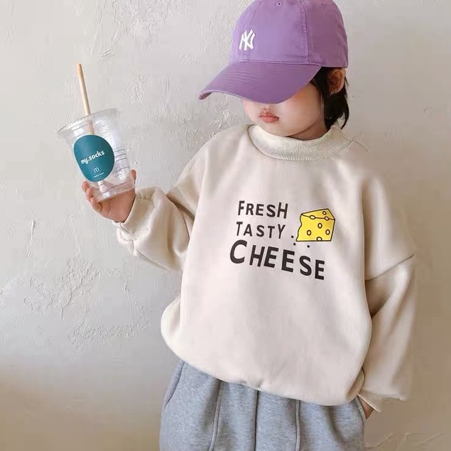 Áo hoodie dài tay, áo nỉ cho bé trai và bé gái phong cách Hàn Quốc_A19