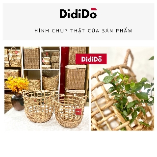 Giỏ đựng đồ lục bình khung sắt đan thưa