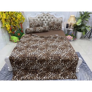 Bộ Drap thun Hàn Quốc 4 món beo vàng phối nâu siêu tây