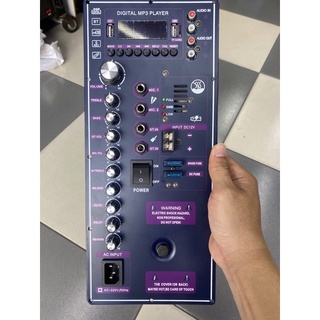 Mạch loa kéo có reverb công suất lớn