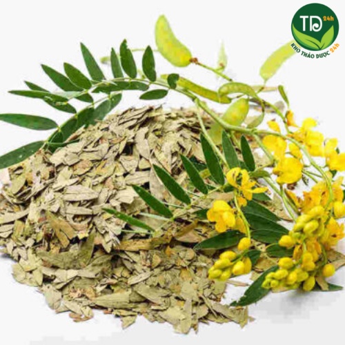 Phan tả diệp, bổ sung chất xơ, đánh bay táo bón, rối loạn tiêu hóa, nhuận tràng, thải độc tố trong ruột &amp; gan, giảm cân