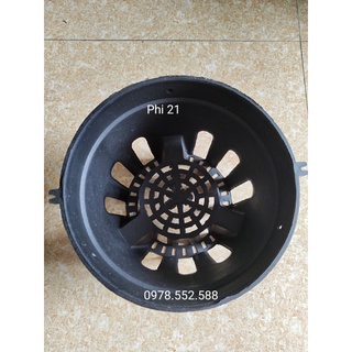 Combo 10 chậu lan đen phi 21