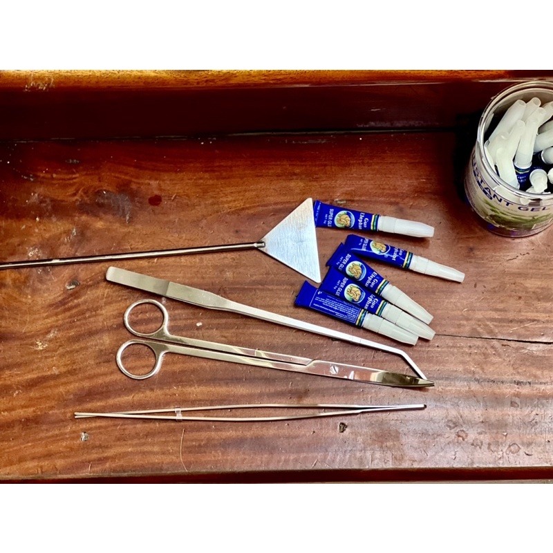 Kéo tỉa, Nhíp cắm cây, San nền