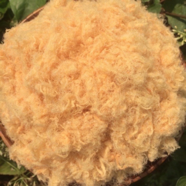 [Mã 156FMCGSALE hoàn 8% đơn 500K] 500g Chà bông heo xù bông gòn sấy vàng | BigBuy360 - bigbuy360.vn