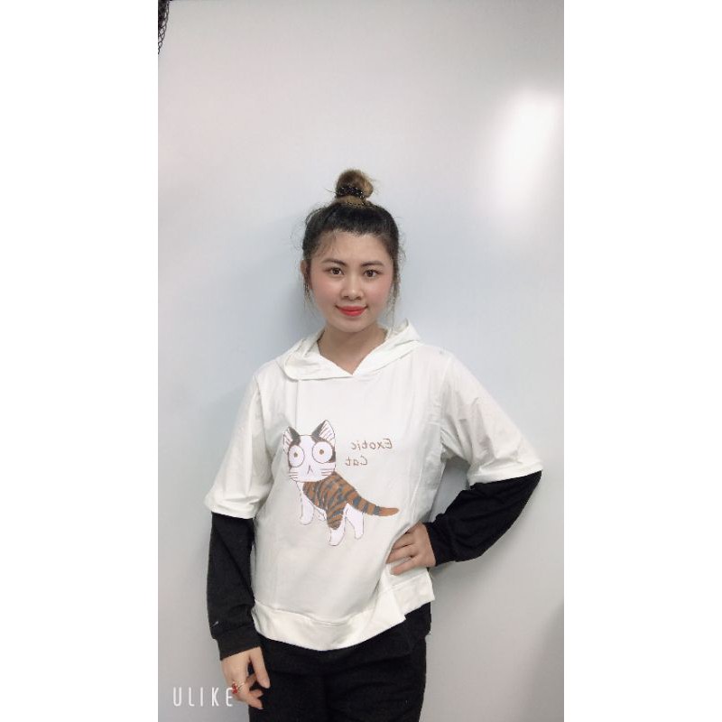 áo hoodie  họa tiết mèo cute,áo form unisex M1 | BigBuy360 - bigbuy360.vn
