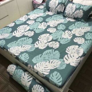 Ga gối cotton poly