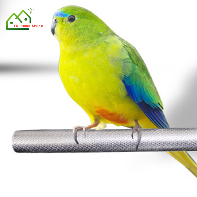 Thanh Đứng Dùng Mài Móng Vuốt Hiệu Quả Tiện Lợi Cho Vẹt Cưng