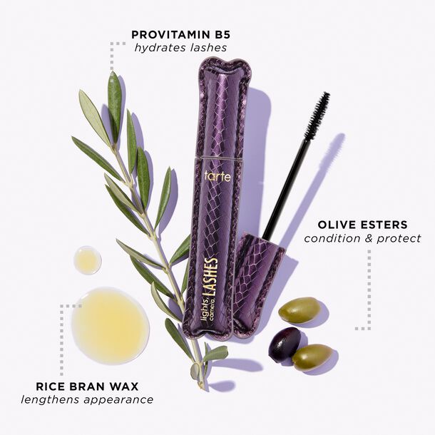 Chuốt Mi Tarte’s Lights, Camera, Lashes 4-in-1 Mascara 4ml | BigBuy360 - bigbuy360.vn