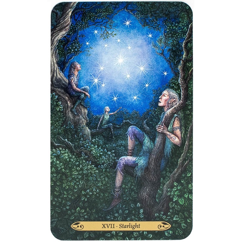 Bộ Bài Forest of Enchantment Tarot (Mystic House Tarot Shop)