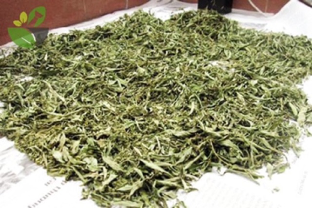 1 Kg Lá đinh lăng khô SAO VÀNG