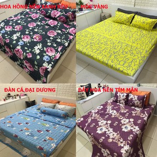 (GIẢM KỊCH SÀN) SET 4 MÓN CHĂN HÈ THU KÈM GA GỐI POLY