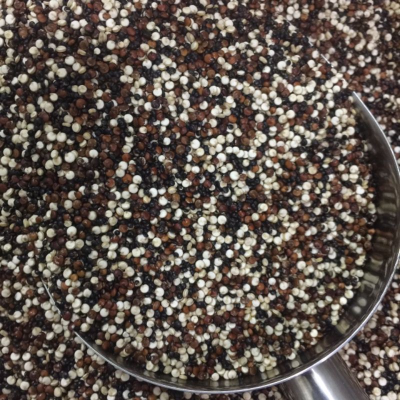 Hạt Quinoa- Diêm mạch nhập khẩu Peru giá rẻ túi- 500 gr
