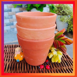 Chậu Đất Nung trồng Sen Đá