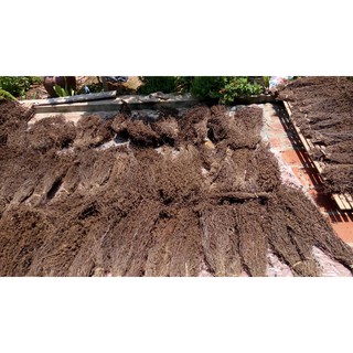 Cây sương sáo làm thạch đen. Loại 500gr