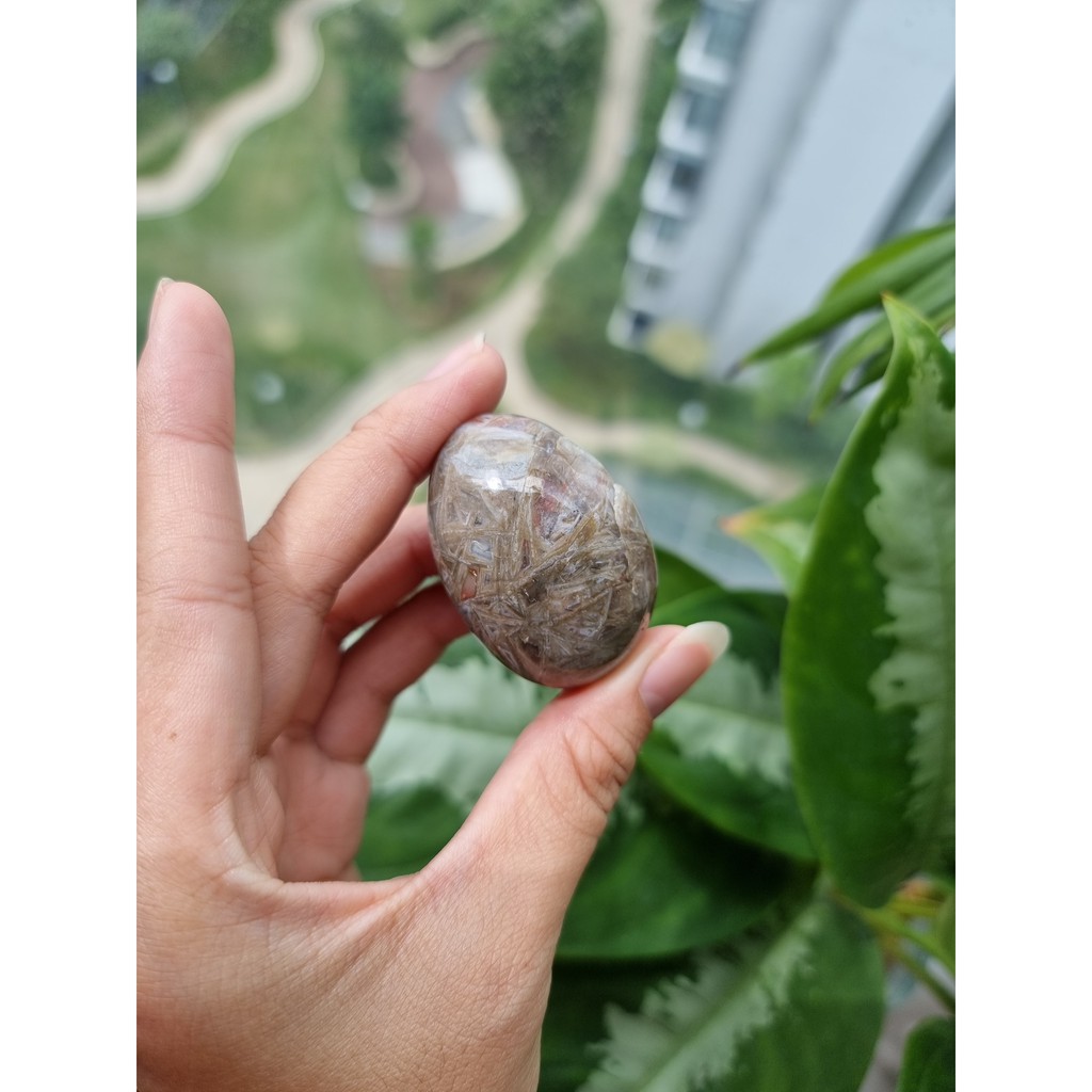 Viên Gỗ hóa thạch (Petrified Wood Palm), đá thanh tẩy tarot, reiki, phong thủy