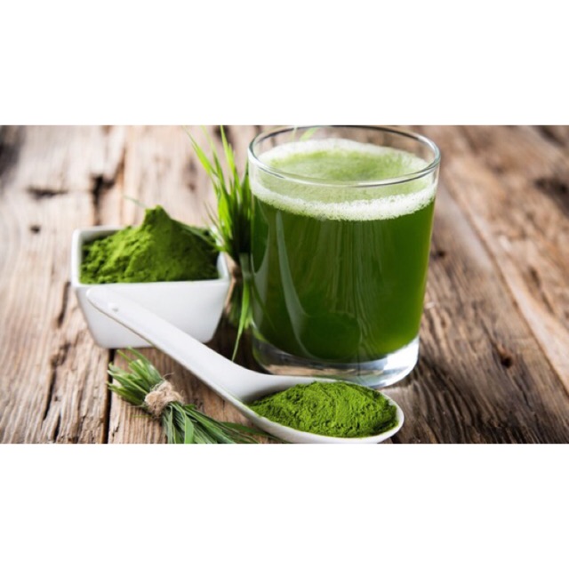 Bột chùm ngây nguyên chất sấy lạnh nhà làm