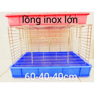 Lồng inox chuyên dụng lớn