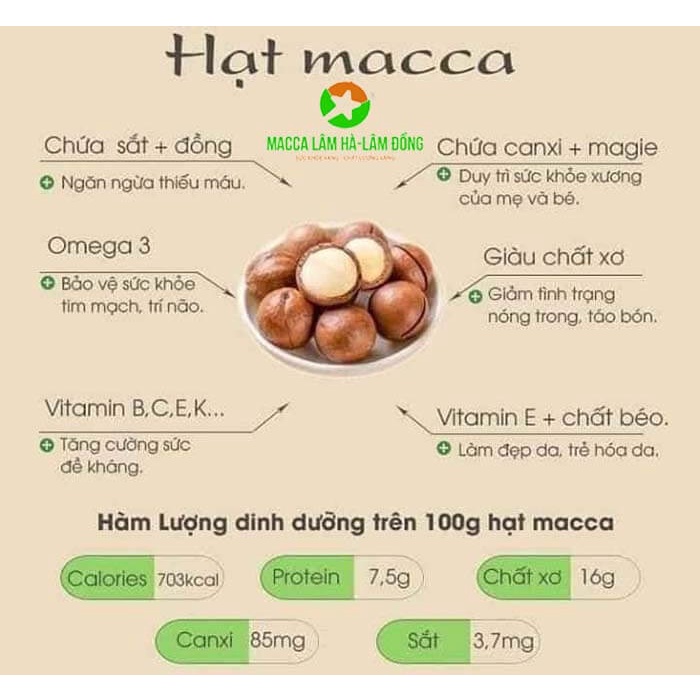 Hạt Macca Organic nứt vỏ Daklak sấy giàu dinh dưỡng Thượng Hạng loại 1 hạt to chắc đều đẹp