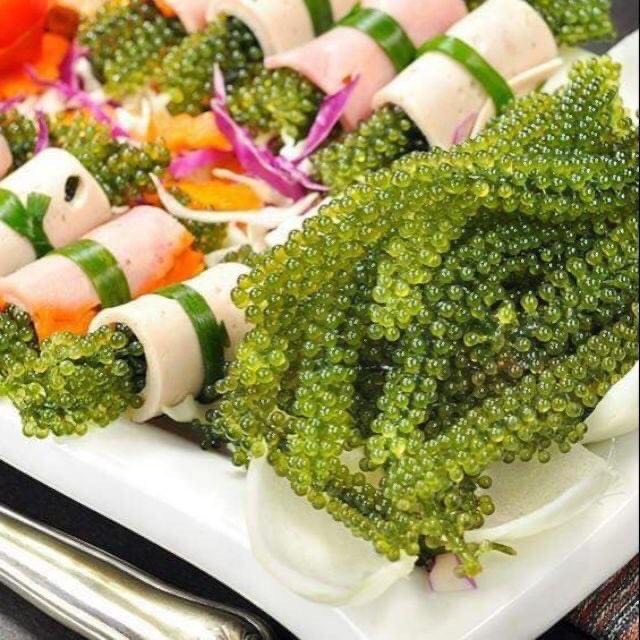 Rong nho Tách nước - SEA GRAPES ( 240gram có 12 Gói nhỏ GỒM 2 HỘP) Nho biển - Tặng 2 Gói Xốt Mè KEWPIE