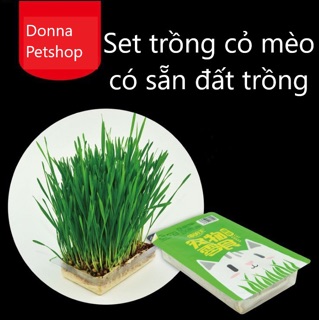 SET TRỒNG CỎ MÈO CÓ SẴN ĐẤT