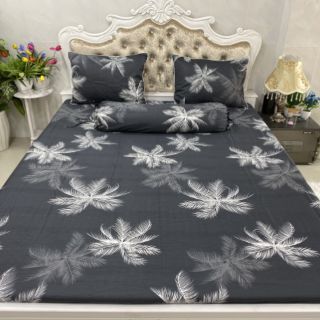 BỘ DRAP COTTON HÀN QUỐC 4 MÓN 100% COTTON