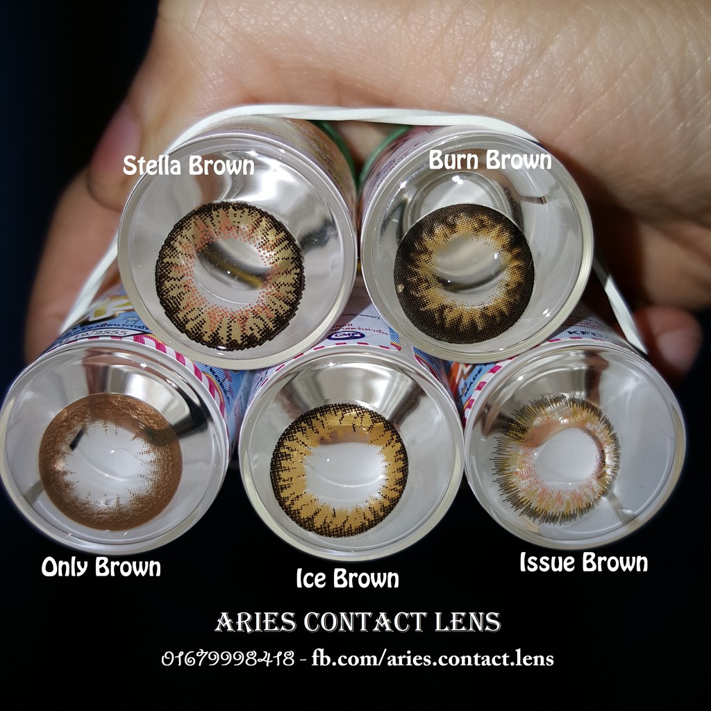 (Sỉ 50k) Lẻ Lens Thái BROWN - Kính áp tròng 0-2-55-6 độ sỉ lẻ (Ảnh thật tự chụp)