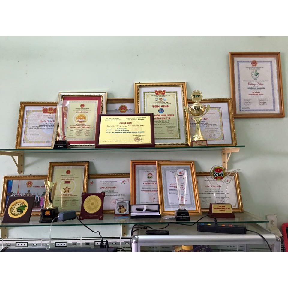 Hạt điều rang muối Bà Tư Bình Phước - hộp 500g | BigBuy360 - bigbuy360.vn