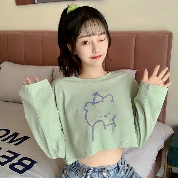 Áo thun croptop nữ tay dài phong cách Hàn Quốc chất tici loại 1 dày mịn co dãn freesize dưới 55kg - CT4042