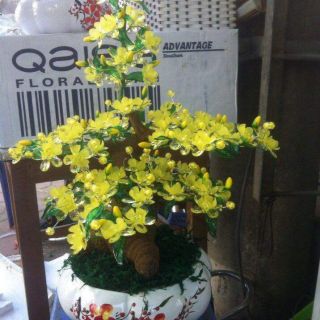 Nguyên liệu cây mai, cây đào