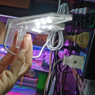 Đèn led kẹp mini