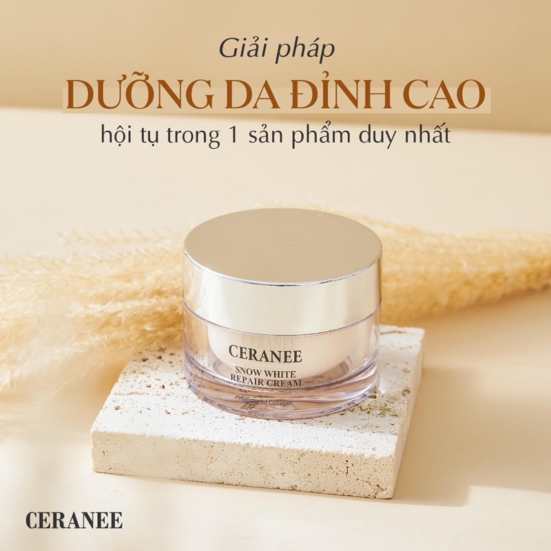 Kem dưỡng da Ceranee phục hồi da, tái tạo và trẻ hóa da từ Hàn Quốc