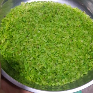 Cốm khô dẹp xanh làng Vòng