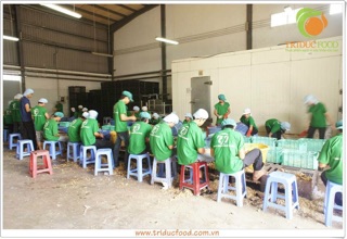 MỨT THẬP CẨM NGŨ VỊ