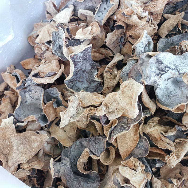 Mộc nhĩ rừng 0.5 kg -  Đặc sản Yên Bái