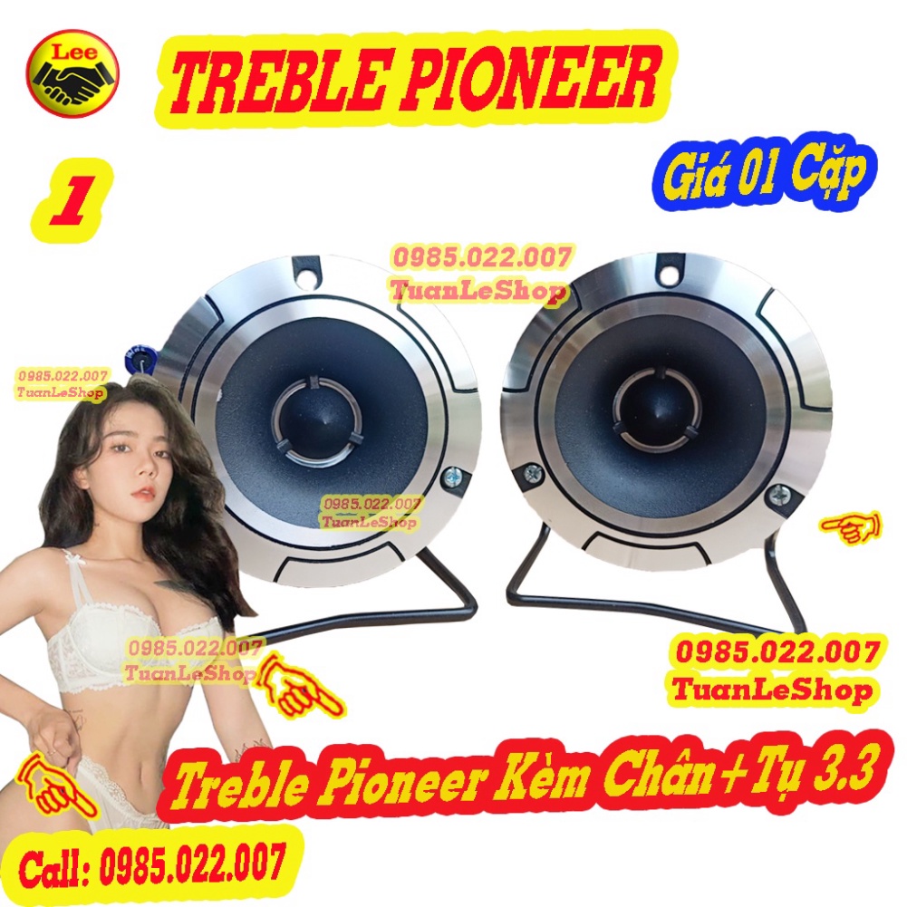 HAI CỦ LOA TREBLE PIO NEEER  MÀNG NANO KÈM TỤ 3.3MF TỐT - LOẠI 3 LỖ VÍT PIONEER P8802