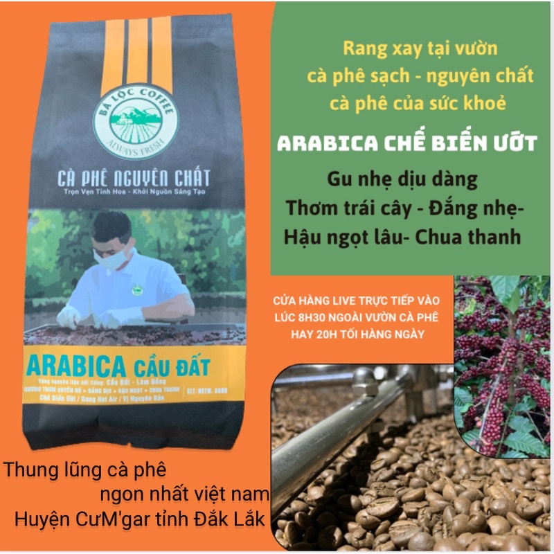 arabica cầu đất
