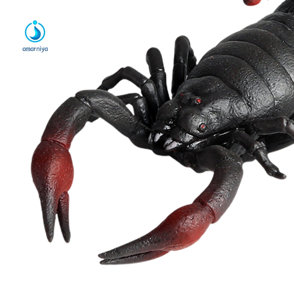 Đồ Chơi Bọ Cạp Bóp Xả Stress