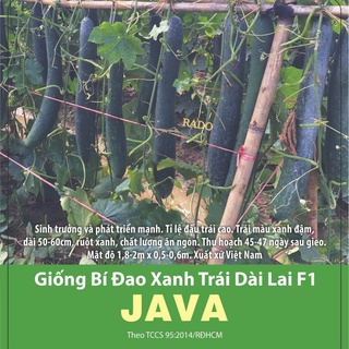 Hạt giống Bí Đao Java