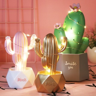 CHẬU XƯƠNG RỒNG ĐÈN LED