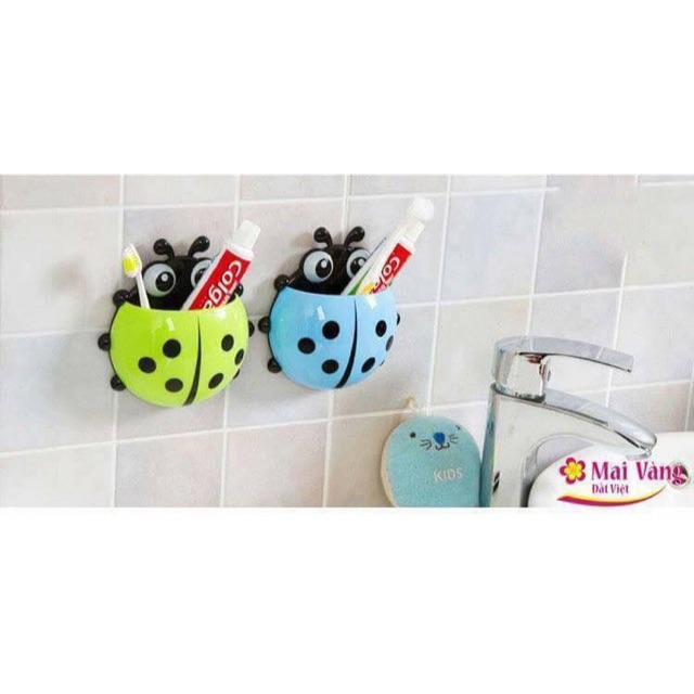 Bọ cắm bàn chải đánh răng