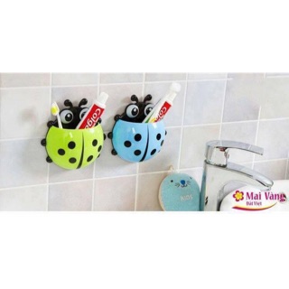 Bọ cắm bàn chải đánh răng
