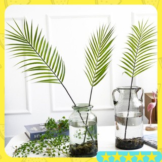 (Sẵn) Lá dừa cảnh decor