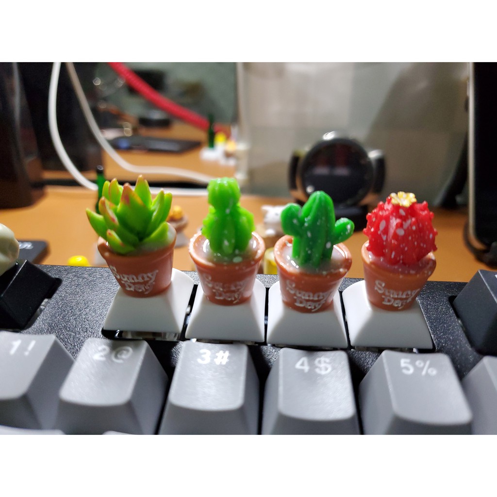 Keycap chậu hoa xương rồng, nút bấm bàn phím cơ hình cây xương rồng