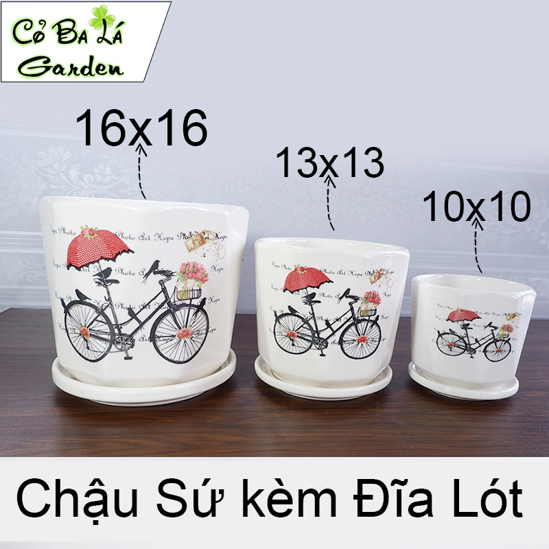 Chậu sứ trồng cây kèm đĩa hứng nước,1 bộ có 3 SIze tự chọn