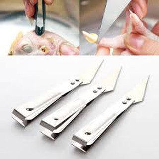 NHÍP NHỔ LÔNG GÀ VỊT INOX