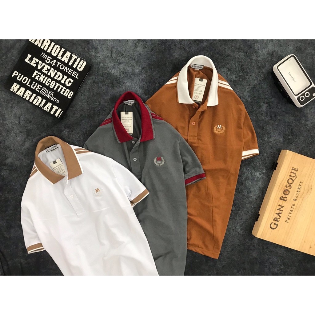 Áo thun nam Havis Mabu 1922 có cổ logo thêu cao câp ASTD086 | BigBuy360 - bigbuy360.vn