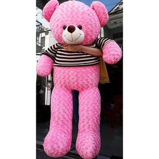 Gối ôm gấu bông Teddy các size