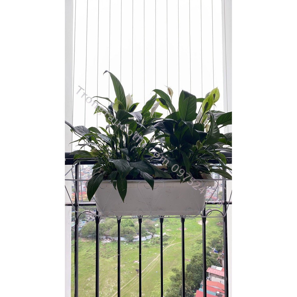 Giỏ sắt treo chậu trồng cây ban công hình chữ nhật, giá treo trồng hoa ban công kích thước 48x21x16cm