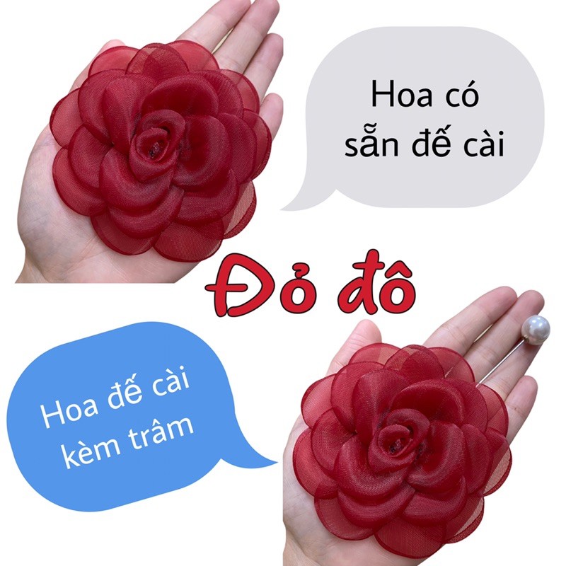 Tag hoa trà voan đốt lớn ảnh chính chủ chụp