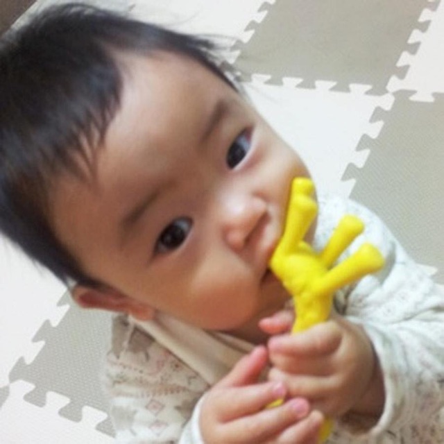 Gặm nướu hươu Giraffe Teether